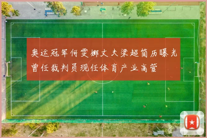 奥运冠军何雯娜丈夫梁超简历曝光曾任裁判员现任体育产业高管