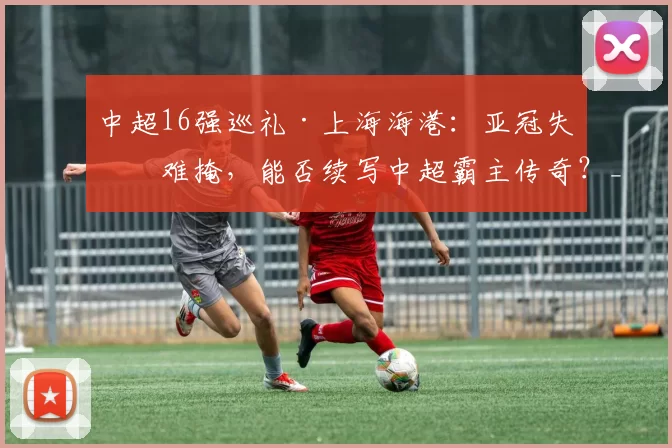 中超16强巡礼·上海海港：亚冠失意难掩，能否续写中超霸主传奇？_赛季_阵容