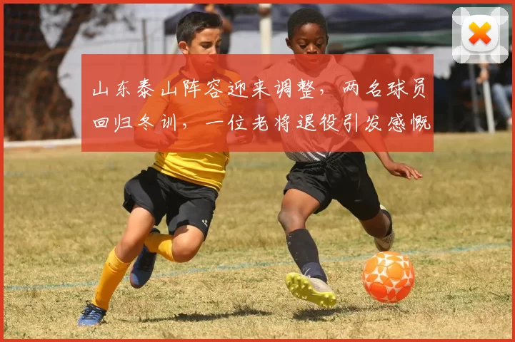 山东泰山阵容迎来调整,两名球员回归冬训,一位老将退役引发感慨_泰山队_赛季_杨瑞琦