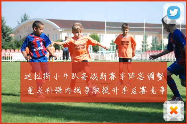 达拉斯小牛队备战新赛季阵容调整 重点补强内线争取提升季后赛竞争力