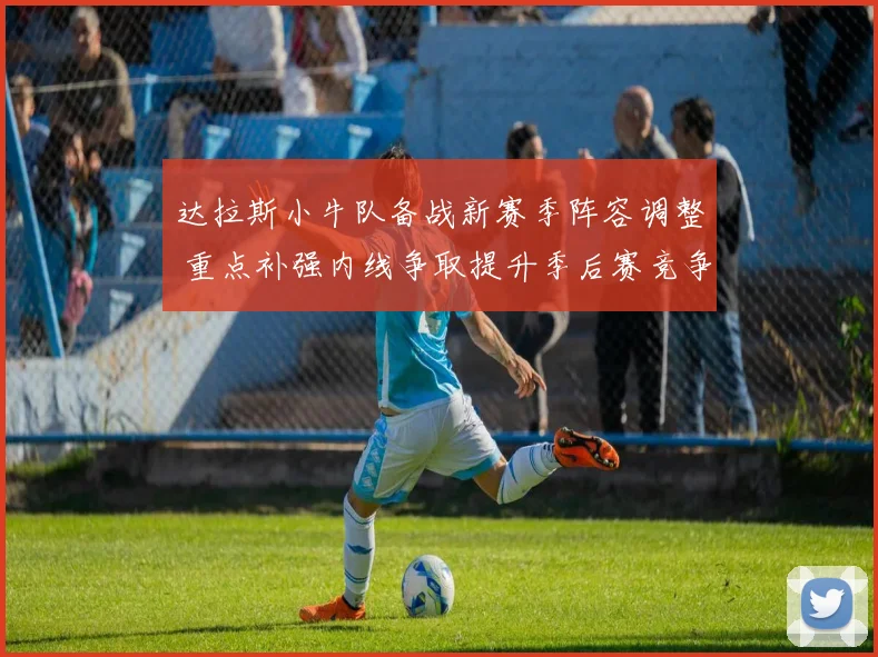 达拉斯小牛队备战新赛季阵容调整 重点补强内线争取提升季后赛竞争力